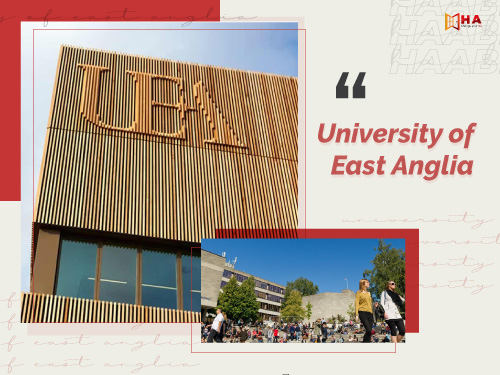 Tất tần tật thông tin về trường University Of East Anglia
