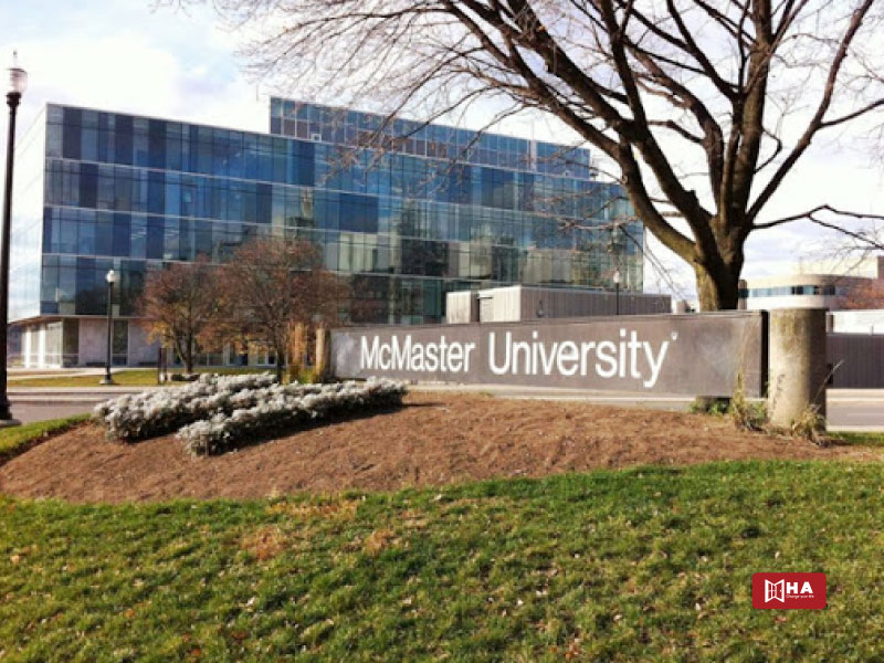 Đại học McMaster – Top 144 Thế giới