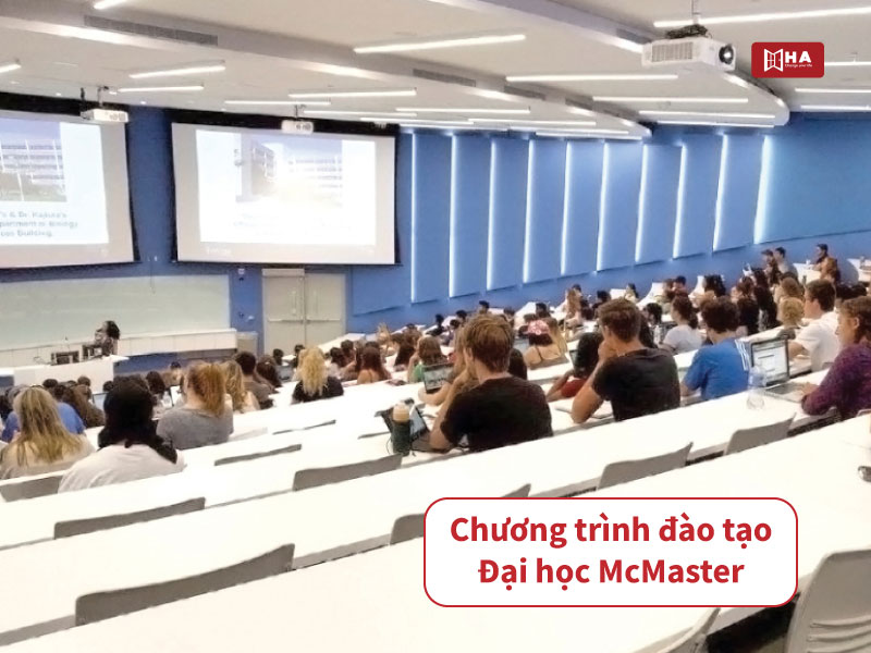 Chương trình đào tạo Đại học McMaster
