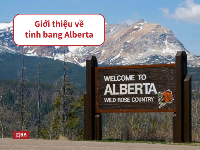 Giới thiệu về định cư Alberta Canada