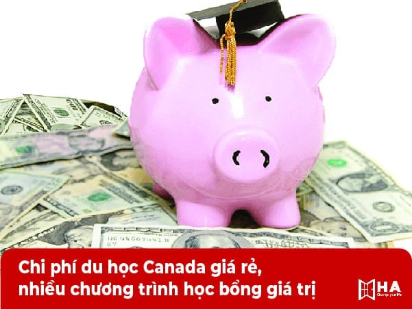 Chi phí du học Canada giá rẻ, nhiều chương trình học bổng giá trị nên du học Canada