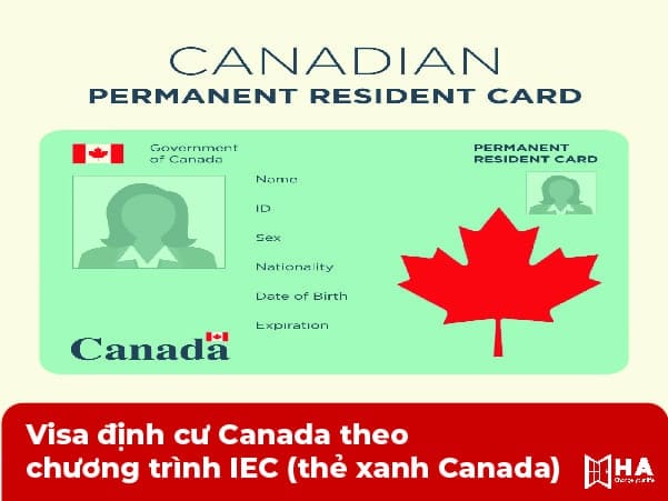 Visa định cư Canada theo chương trình IEC