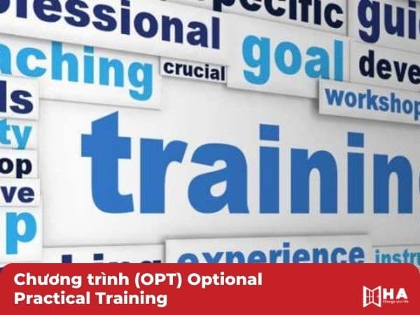 Chương trình (OPT) Optional Practical Training du học mỹ có được định cư