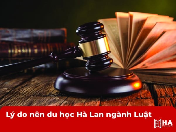 Lý do nên du học Hà Lan ngành Luật