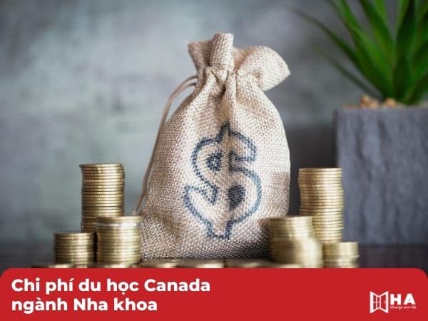 Chi phí du học Canada ngành Nha khoa