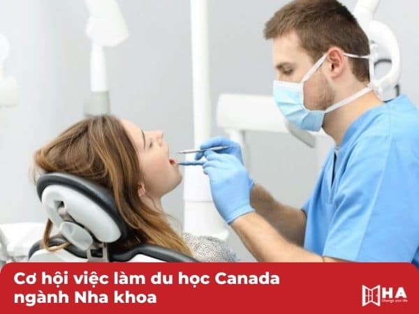 Cơ hội việc làm du học Canada ngành Nha khoa