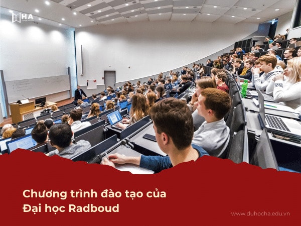 Chương trình đào tạo tại Đại học Radboud