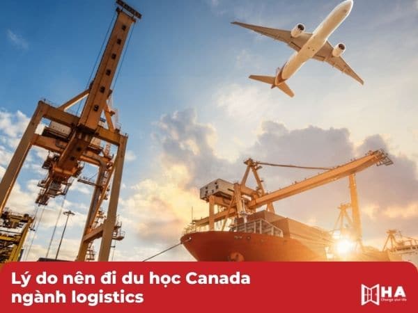 Lý do nên đi du học Canada ngành logistics