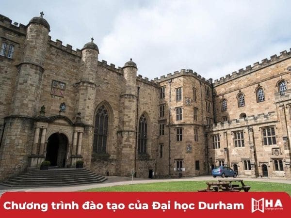 Chương trình đào tạo đại học Durham university