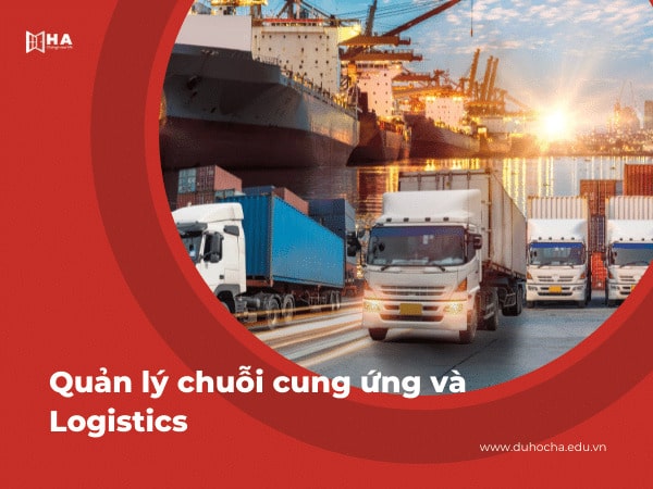 Du học Hà Lan nên học ngành Quản lý chuỗi cung ứng và Logistics