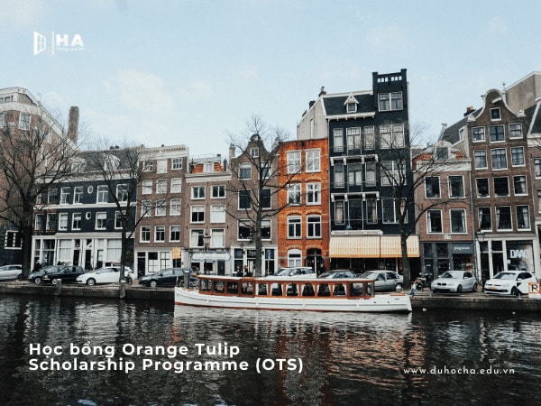 Học bổng Orange Tulip Scholarship Programme (OTS)