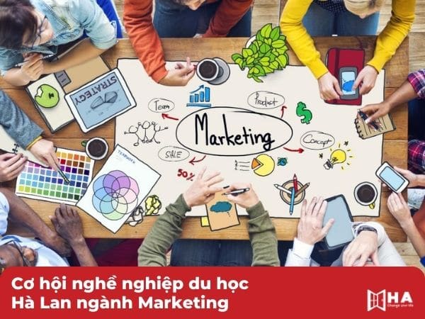 Cơ hội nghề nghiệp du học Hà Lan ngành Marketing