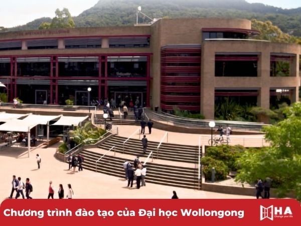 Chương trình đào tạo Đại học Wollongong