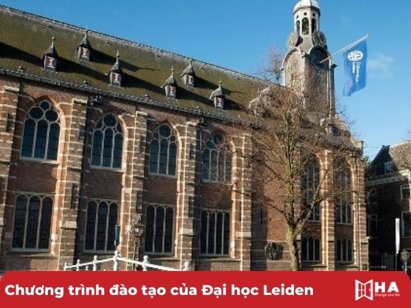 Chương trình đào tạo Đại học Leiden