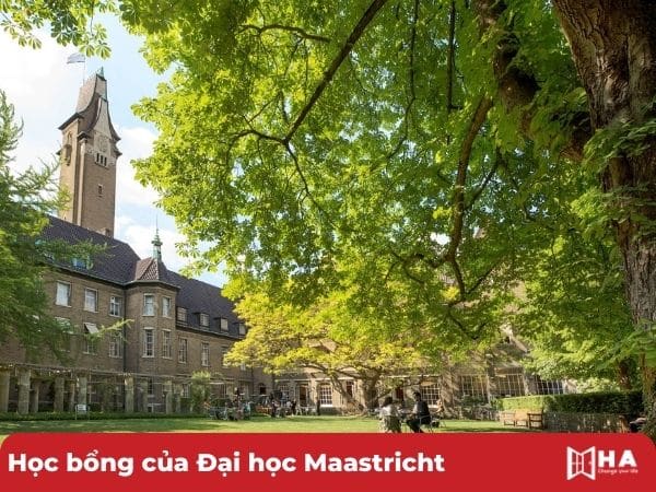 Học bổng Đại học Maastricht