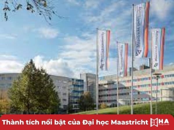 Thành tích nổi bật Đại học Maastricht