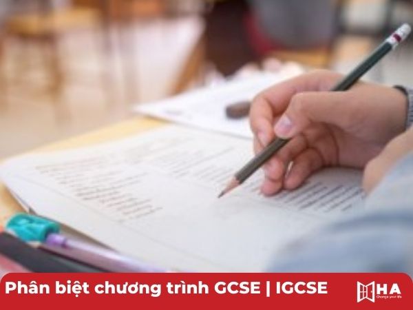 Phân biệt chương trình GCSE | IGCSE