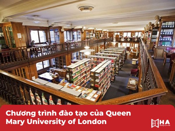 Chương trình đào tạo Queen Mary University of London