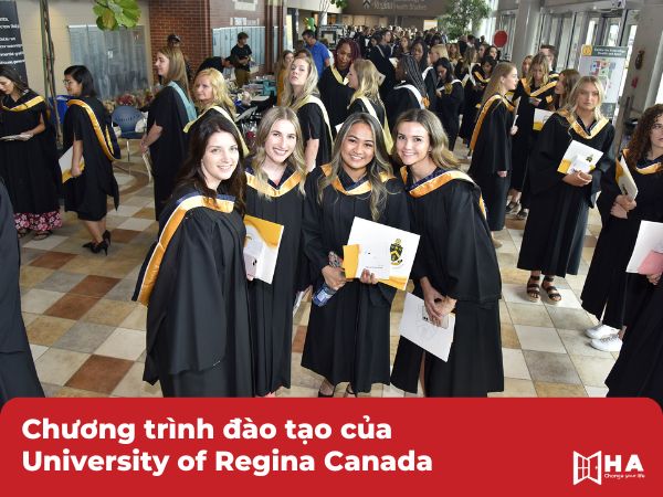 Chương trình đào tạo Đại học Regina