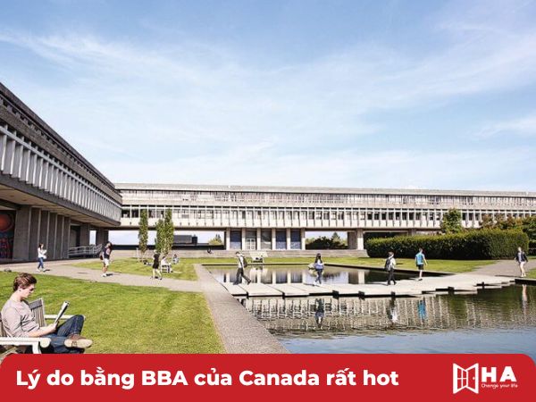 Lý do bằng BBA của Canada rất hot hiện nay