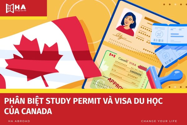 Phân biệt Study Permit và Visa du học của Canada