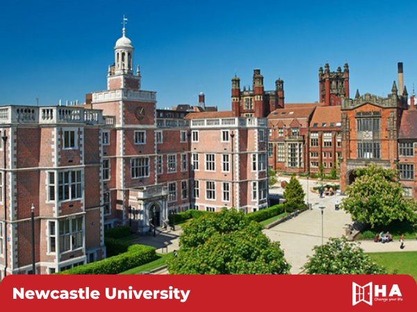 Newcastle University trường đạo tạo ngành Marketing tốt ở Anh