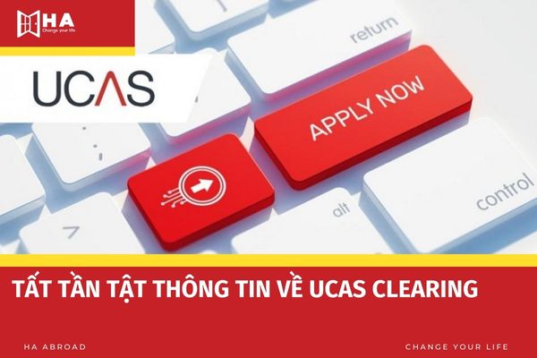 Tất tần tật thông tin về UCAS Clearing