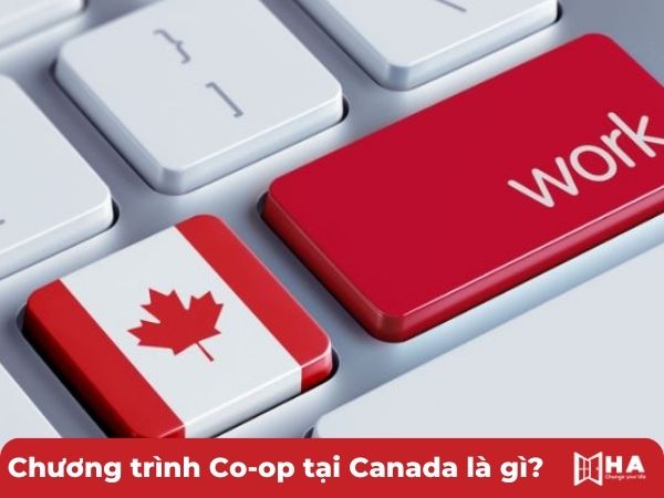 Chương trình Co-op tại Canada là gì?