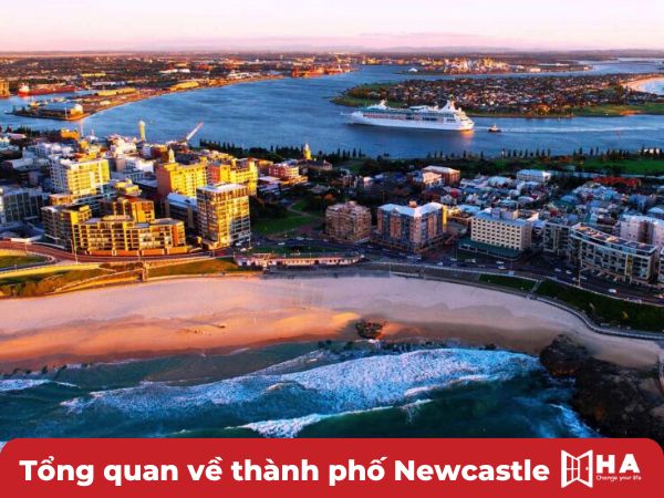 Tổng quan về thành phố Newcastle