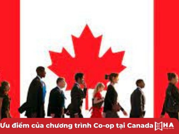 Ưu điểm của chương trình Co-op tại Canada