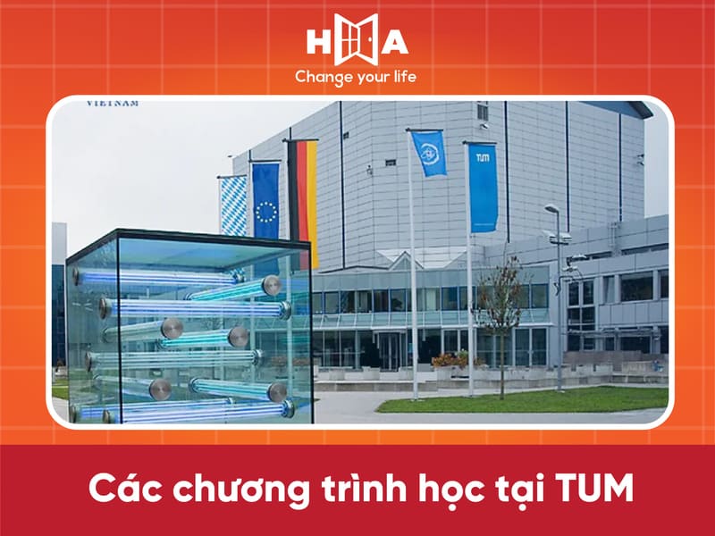 Các chương trình học tại TUM