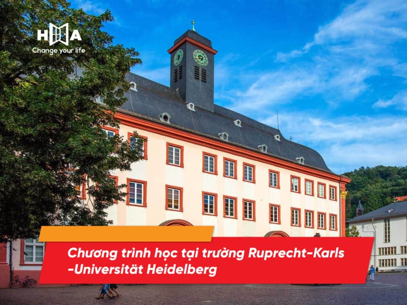 Chương trình học tại trường Ruprecht-Karls-Universität Heidelberg