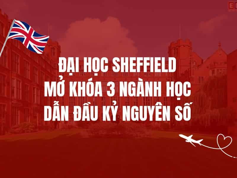 Đại học Sheffield mở khóa 3 ngành học dẫn đầu kỷ nguyên số