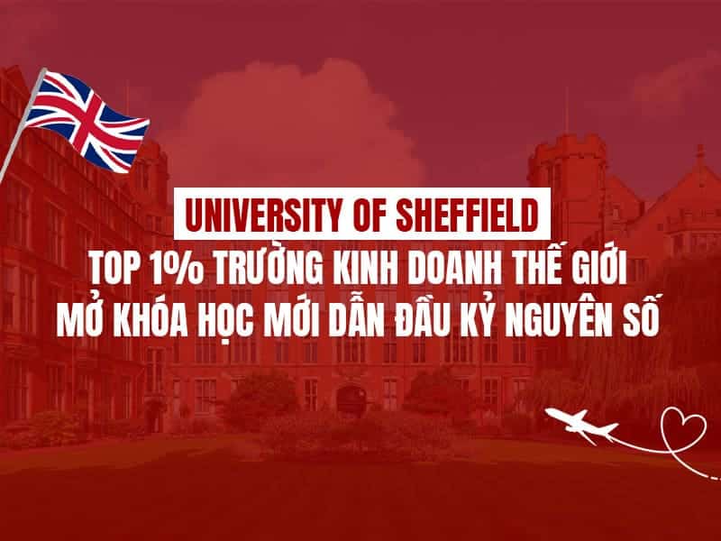University of Sheffield – Top 1% trường kinh doanh thế giới mở khóa học mới dẫn đầu kỷ nguyên số