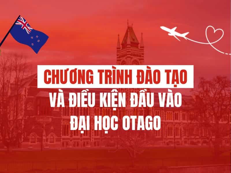 Chương trình đào tạo và điều kiện đầu vào đại học Otago