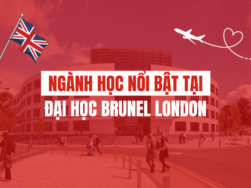 Ngành học nổi bật tại đại học Brunel London
